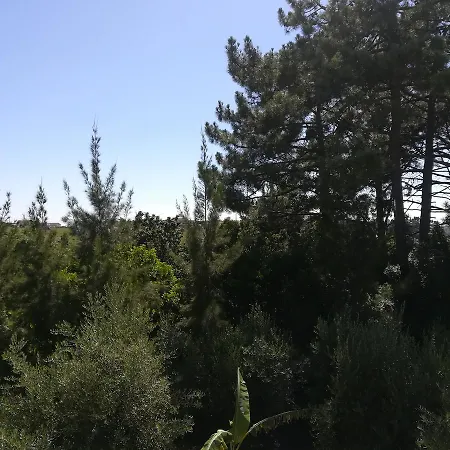 Quinta Vale Real Bauernhof *
