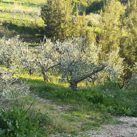 Quinta Vale Real Bauernhof *