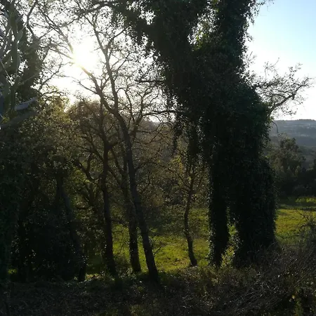 Quinta Vale Real Bauernhof Alcobaça